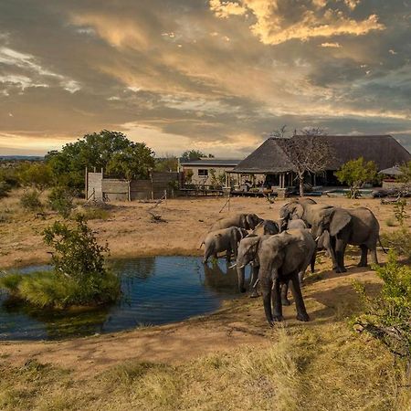 Imagine Africa Luxury Tented Camp Резерват за животни „Балуле“ Екстериор снимка