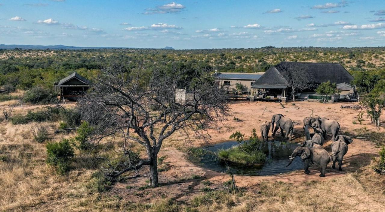Imagine Africa Luxury Tented Camp Резерват за животни „Балуле“ Екстериор снимка