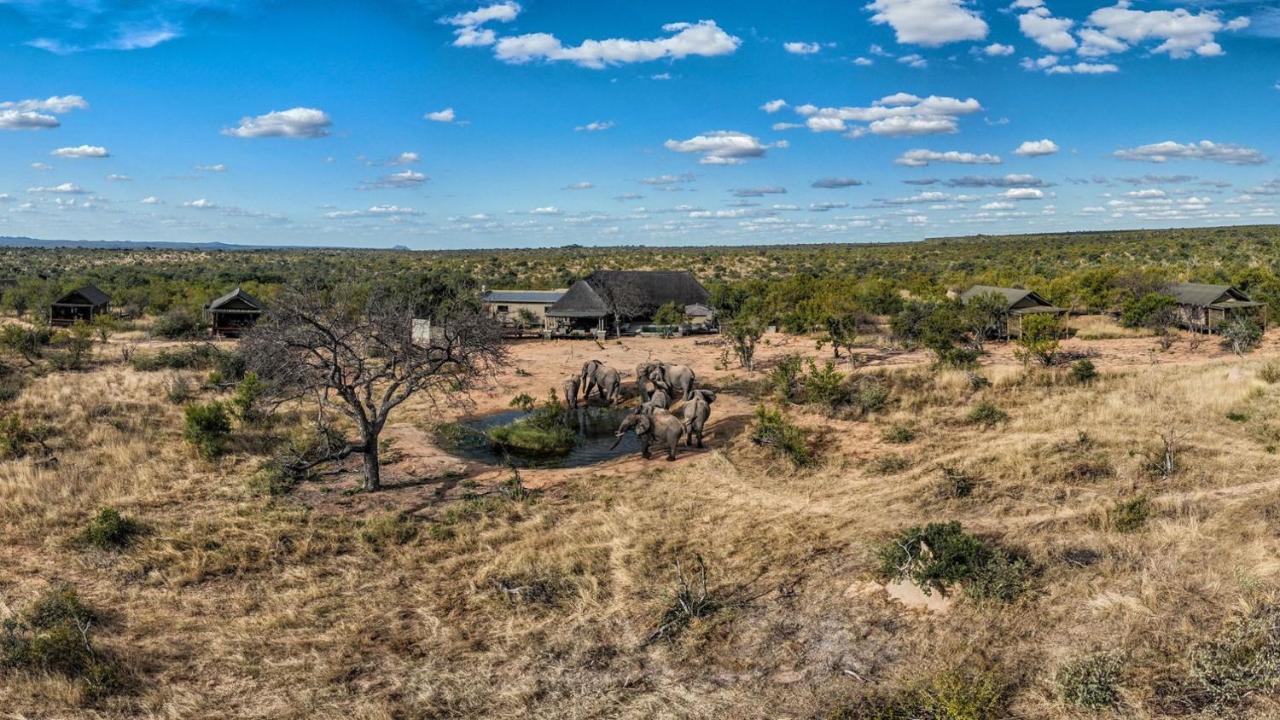 Imagine Africa Luxury Tented Camp Резерват за животни „Балуле“ Екстериор снимка