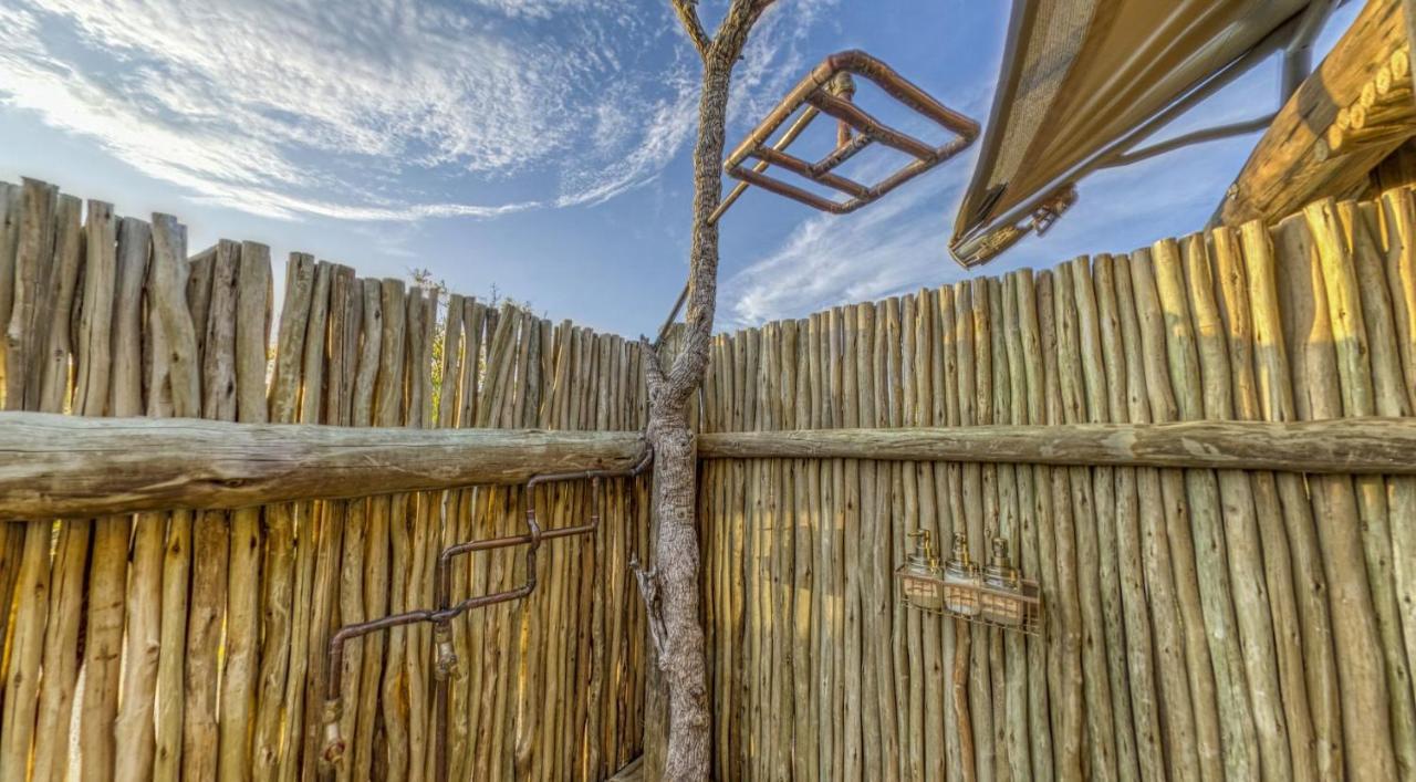 Imagine Africa Luxury Tented Camp Резерват за животни „Балуле“ Екстериор снимка